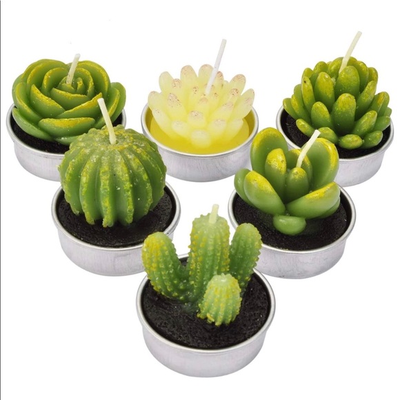 🌱NWT Succulent Candles🌱 - Picture 3 of 5